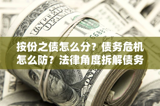 武汉按份之债怎么分？债务危机怎么防？法律角度拆解债务分配与风险自保指南