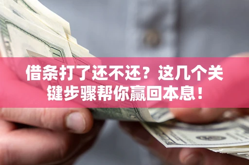 武汉借条打了还不还？这几个关键步骤帮你赢回本息！