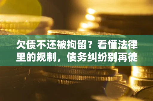 武汉欠债不还被拘留？看懂法律里的规制，债务纠纷别再徒劳奔波