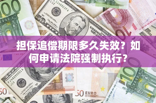 武汉担保追偿期限多久失效？如何申请法院强制执行？