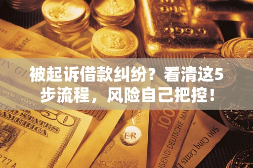 武汉被起诉借款纠纷？看清这5步流程，风险自己把控！