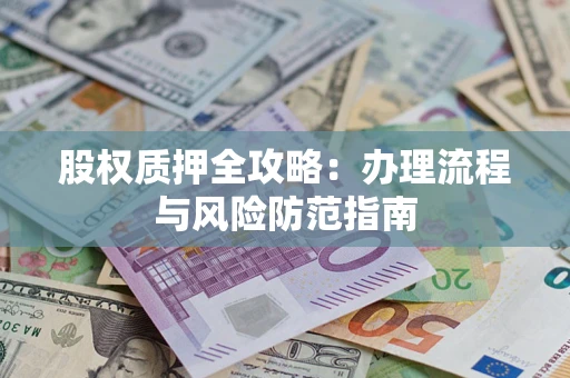 武汉股权质押全攻略：办理流程与风险防范指南
