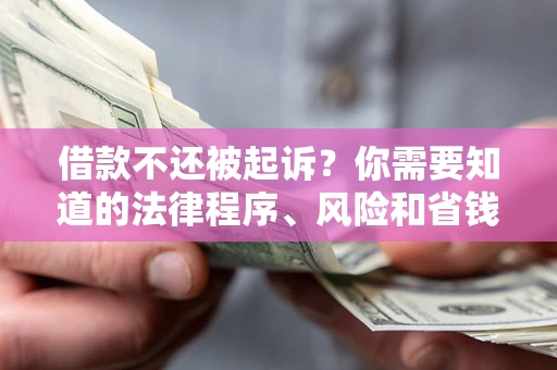 武汉借款不还被起诉？你需要知道的法律程序、风险和省钱技巧