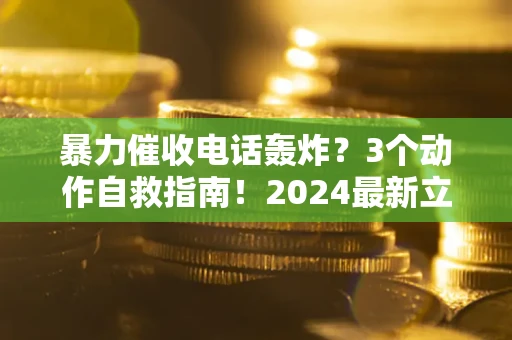 武汉暴力催收电话轰炸？3个动作自救指南！2024最新立案标准全解析