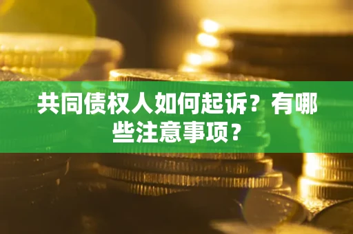 武汉共同债权人如何起诉？有哪些注意事项？